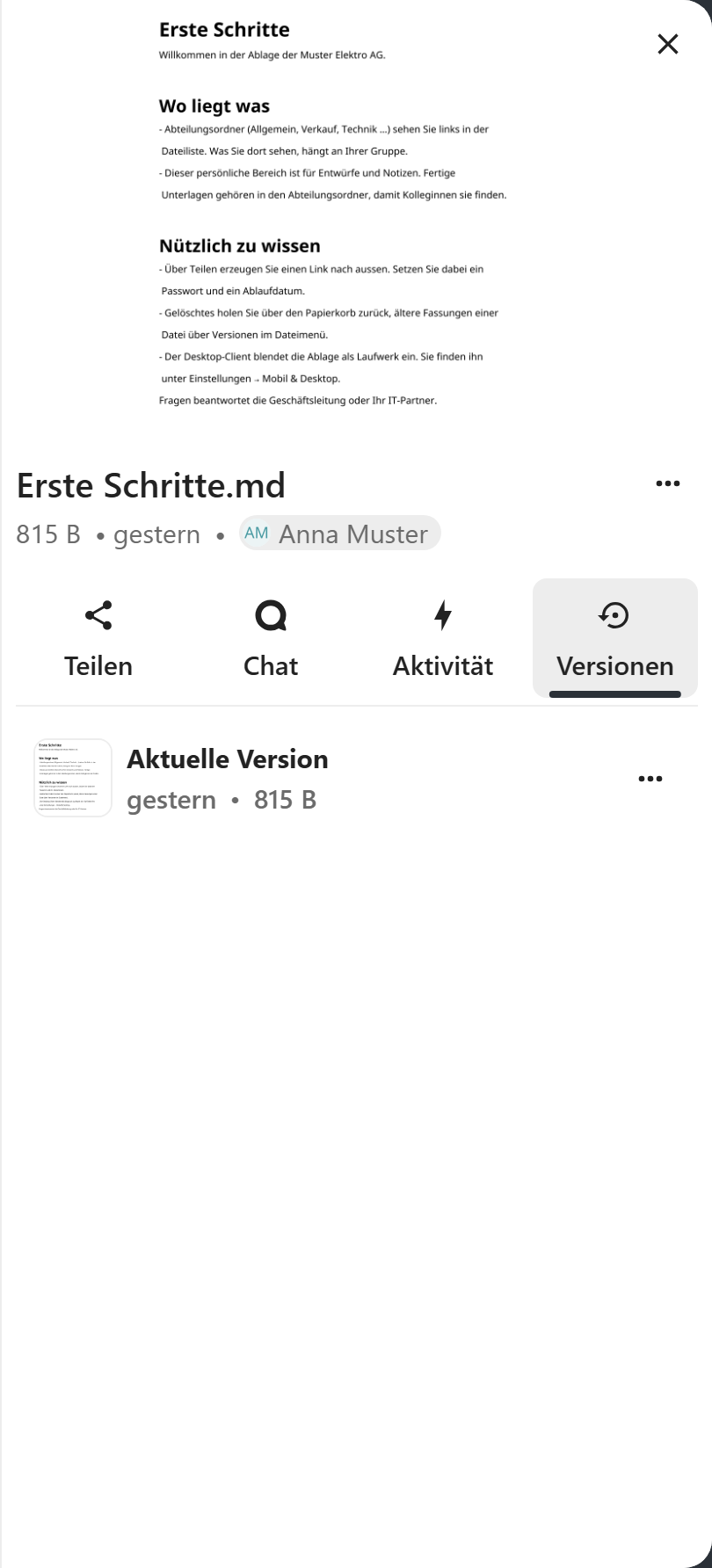 Die Versionen einer Datei