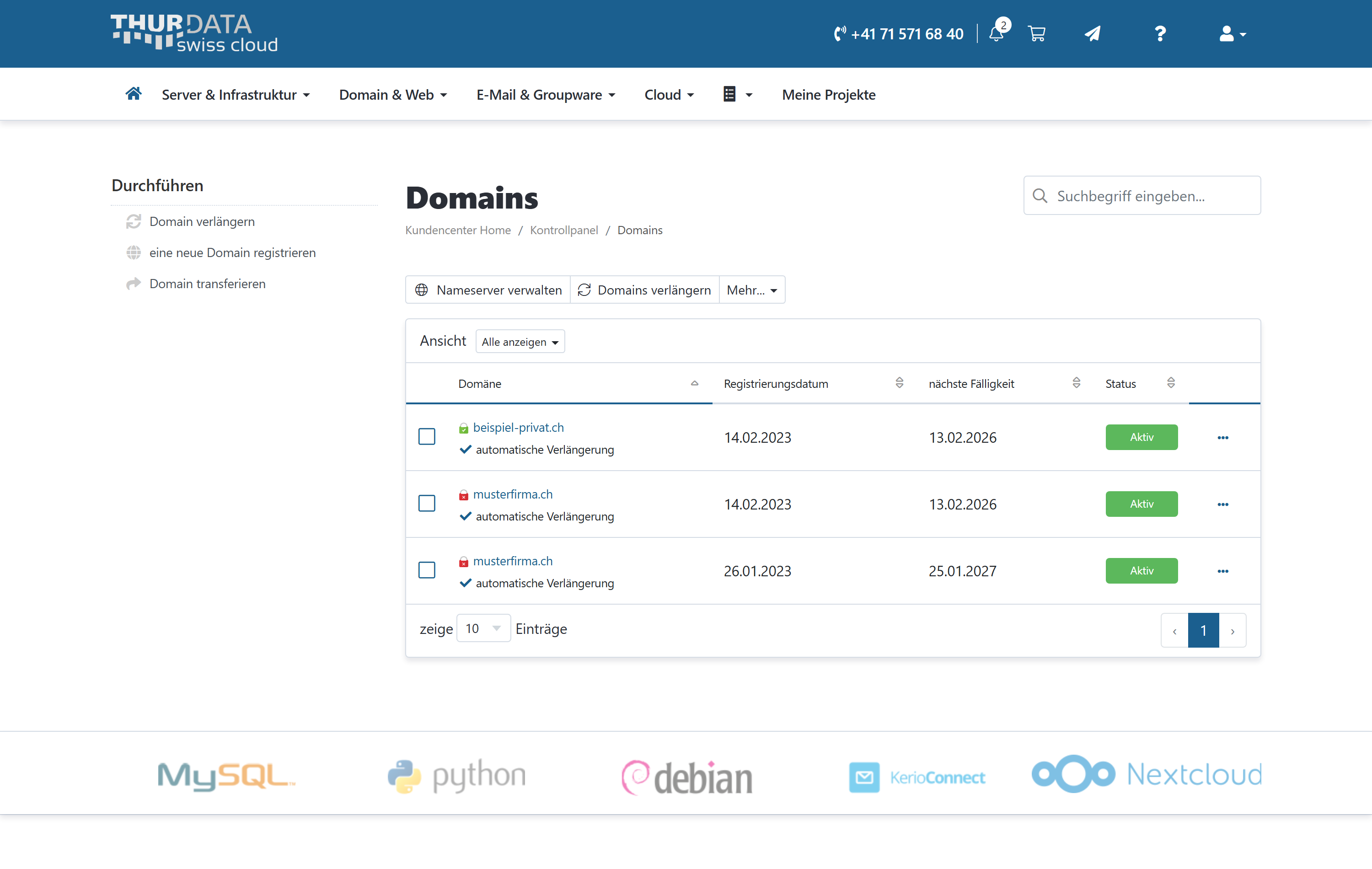 Übersicht der Domains im Kundenportal