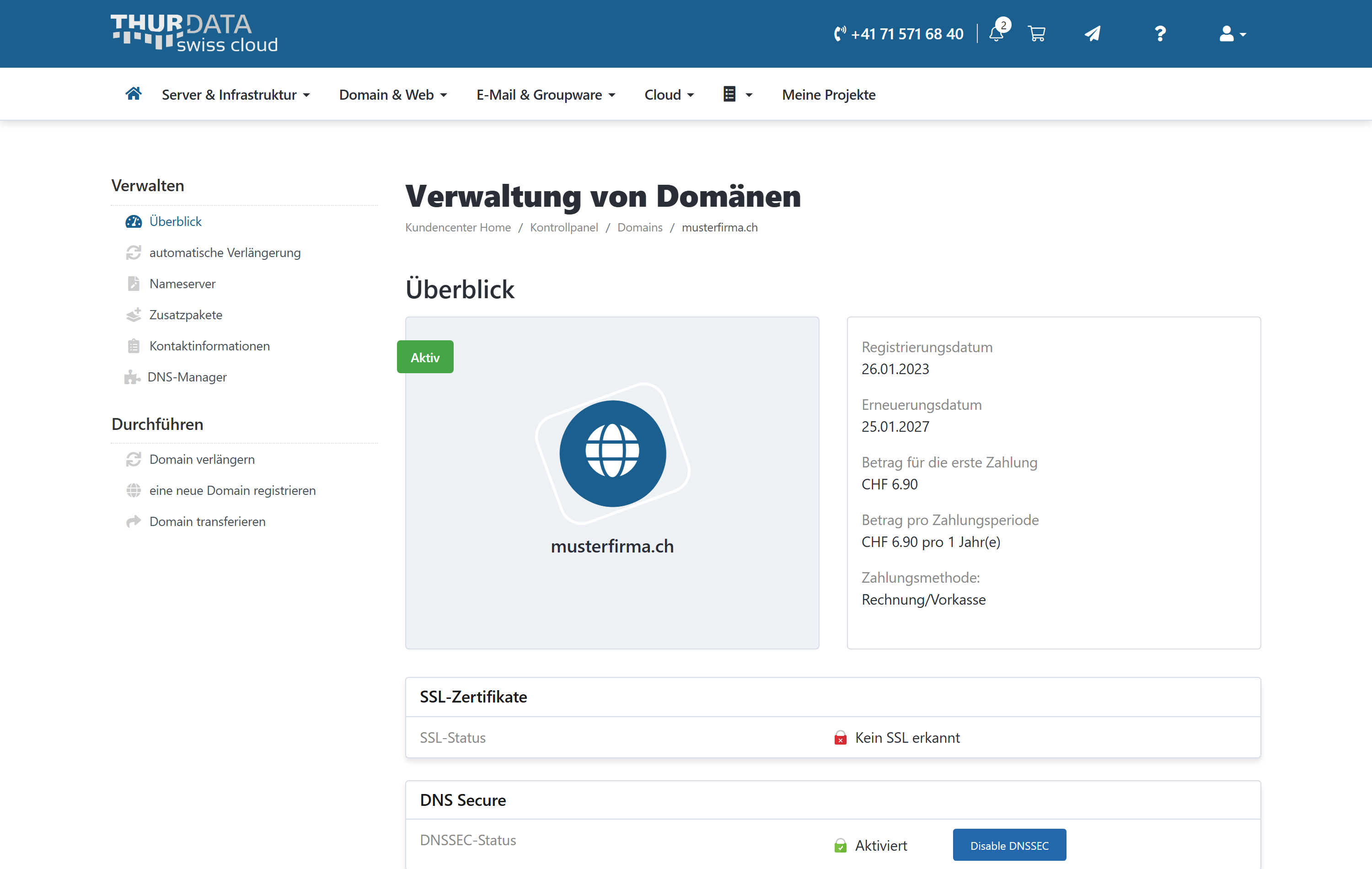 Das Menü einer Domain mit dem Eintrag DNS-Manager