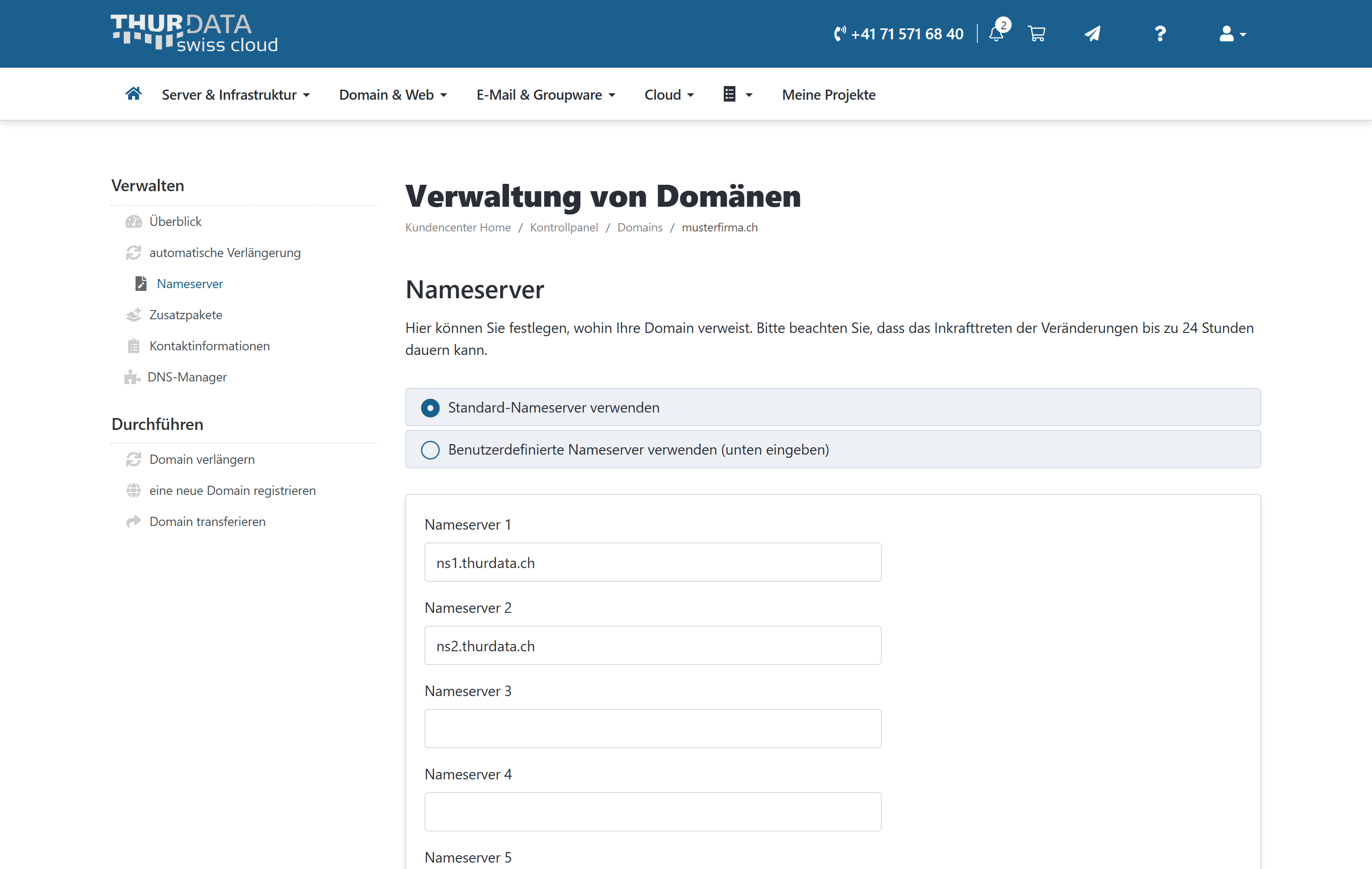Die Nameserver-Einstellung einer Domain