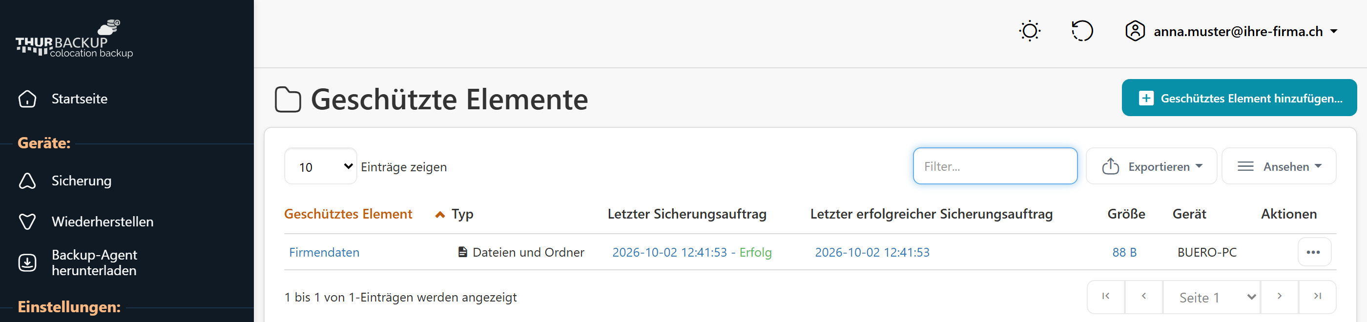 Die Liste der geschützten Elemente in der Backup-Konsole