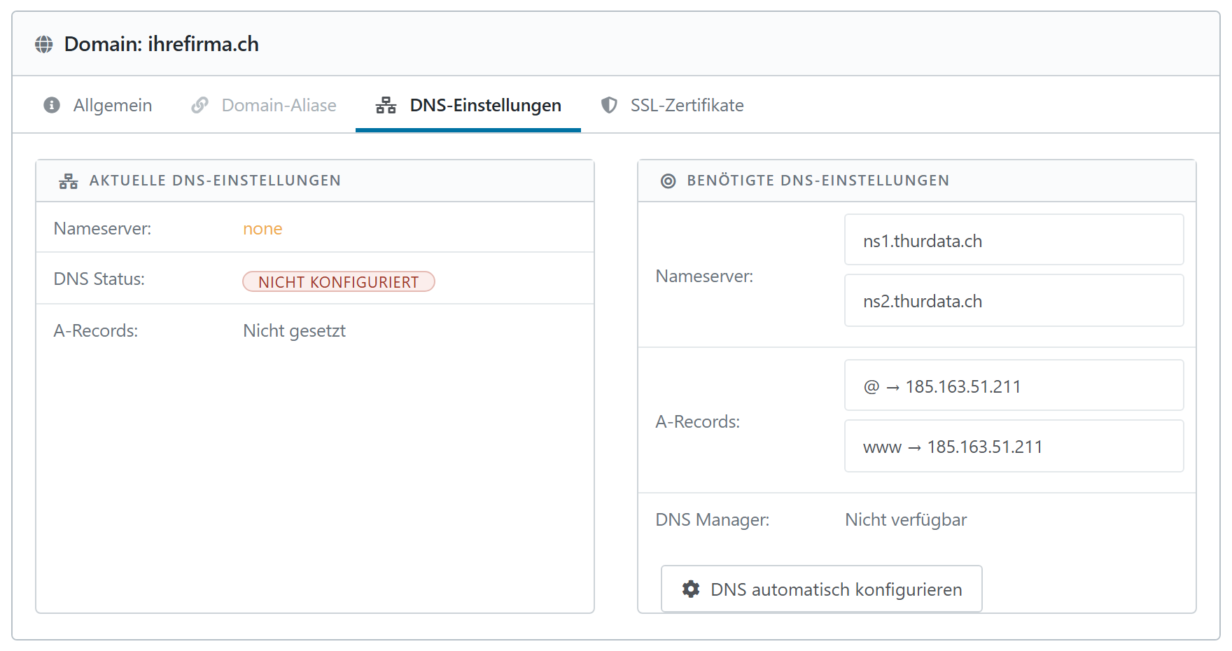 Der Reiter DNS-Einstellungen zeigt links die aktuellen und rechts die benötigten Werte