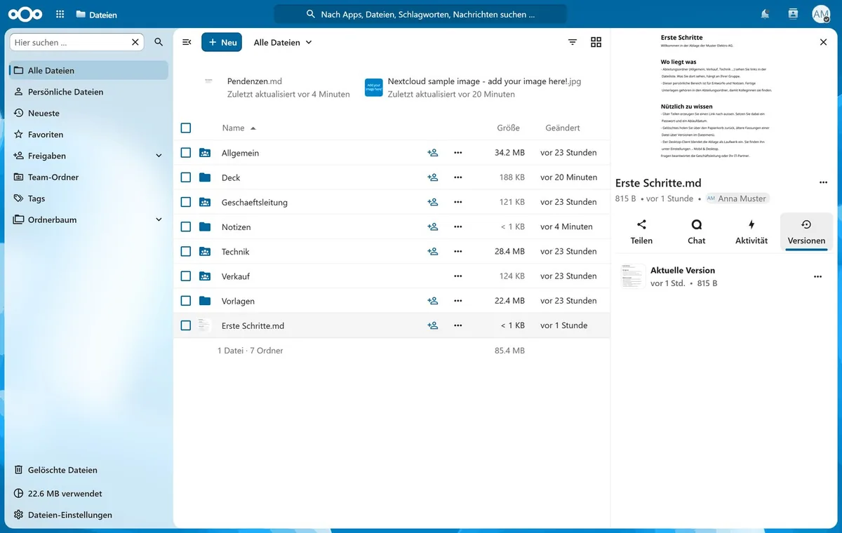 Versionsansicht einer Datei in ThurCloud: &auml;ltere Fassungen lassen sich im Detail-Panel wiederherstellen